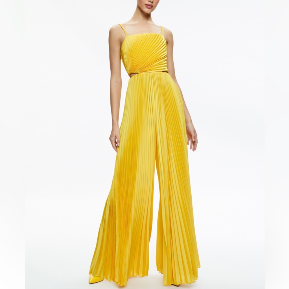 ALICE + OLIVIA Powell Pleated Wide Leg Jumpsuit size 6 NWT